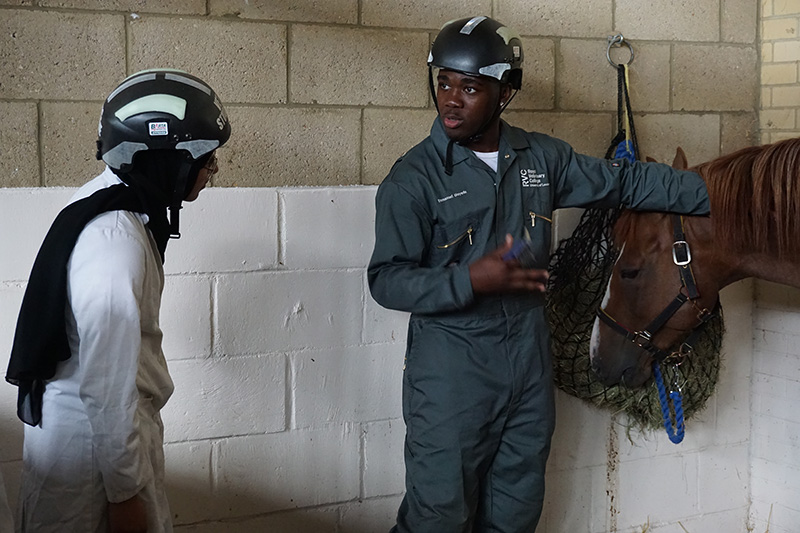 Equine Outreach - Schools outreach - Widening Participation - RVC for